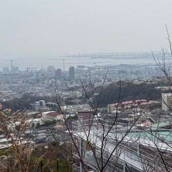 油こぶしルートで下山