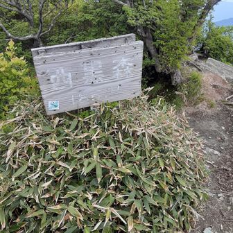 到着！　山頂から少し下ったところの岩場が眺めもよく　岩なのでお湯沸かしも楽でした