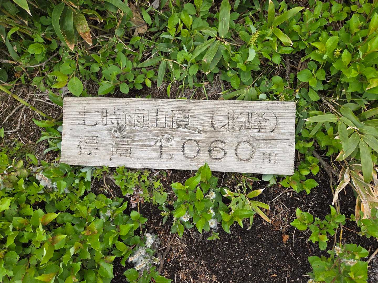 山頂着（北峰）