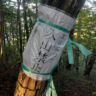 キノコいっぱいだろうね🍄