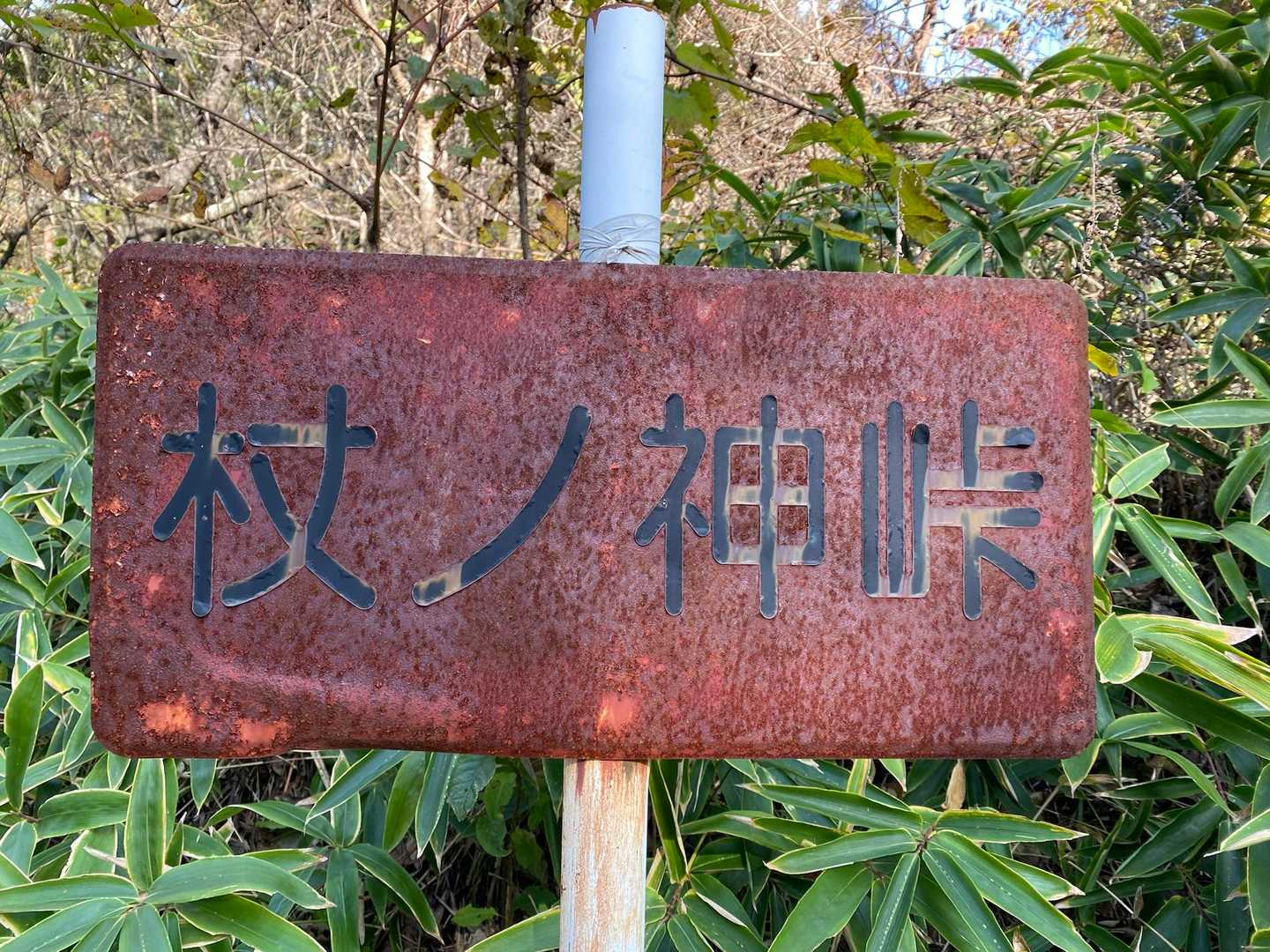 峠に到着！