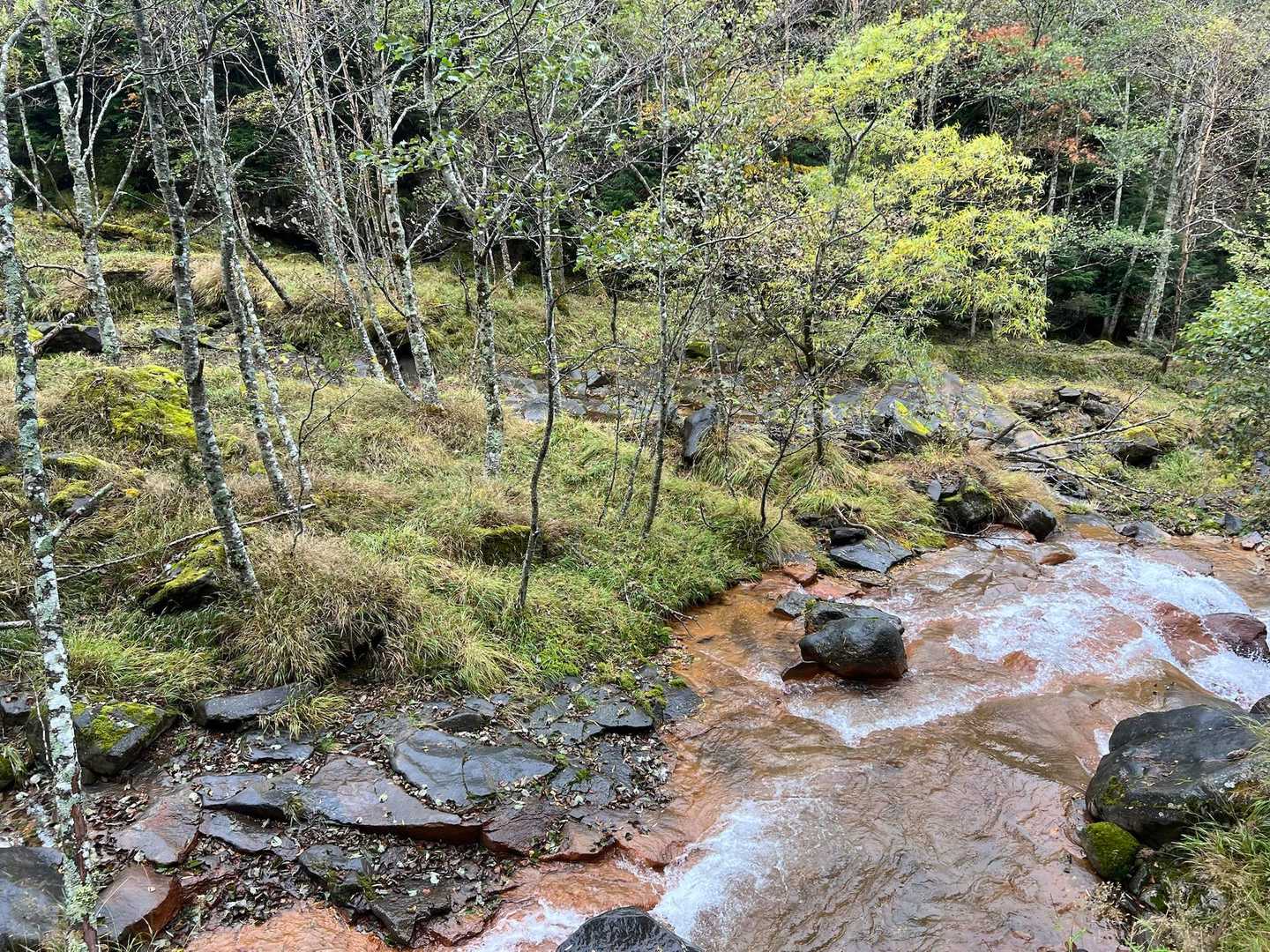美濃戸口-北沢-行者小屋-地蔵ノ頭-赤岳-南沢 周回コースの写真
