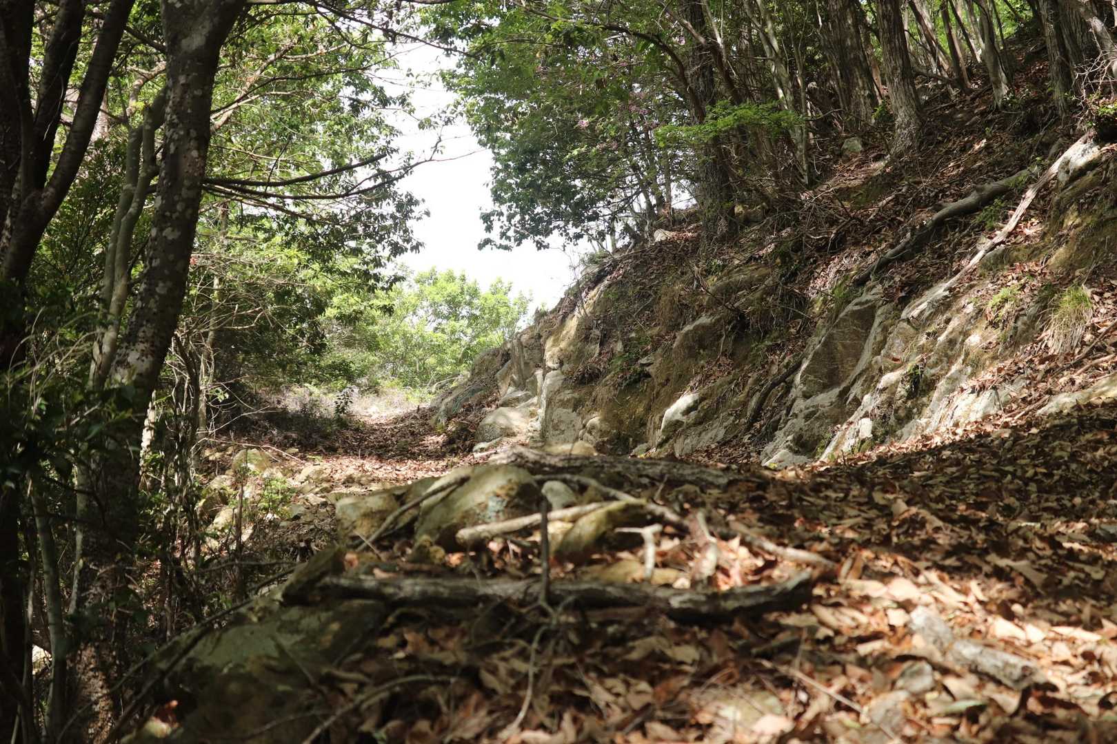 道幅はあるけど
坂道は枯れ葉に埋もれた石が
ごろごろ　