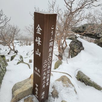 やっと山頂とうちゃこ