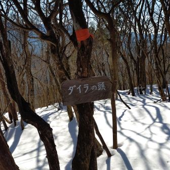 ダイラの頭着
本日のラスボスッス🥰