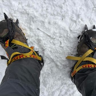 久々のグリベルG10