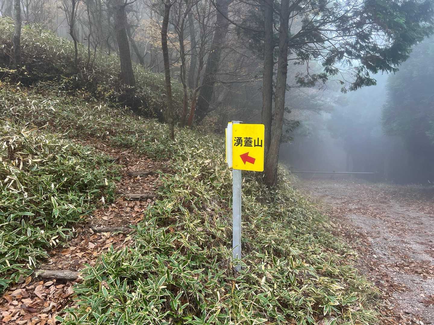 涌蓋山 往復コースの写真