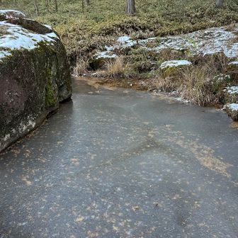 となりの池もこれ😝