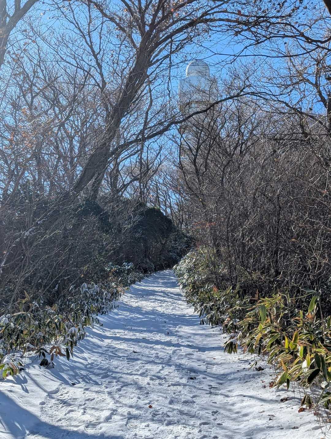 高鈴山までのビクトリーロード
