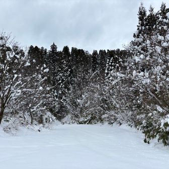 迷惑かけ通しだった🥲
新年早々、どんだけ落とし物するんだか😂

先が思いやられる・・・


でも、間一髪のところで、完璧な落とし物にはなっていないので、本年の目標『落とし物をしない』は守られていると思おう（←ポジティブ思考🤣）