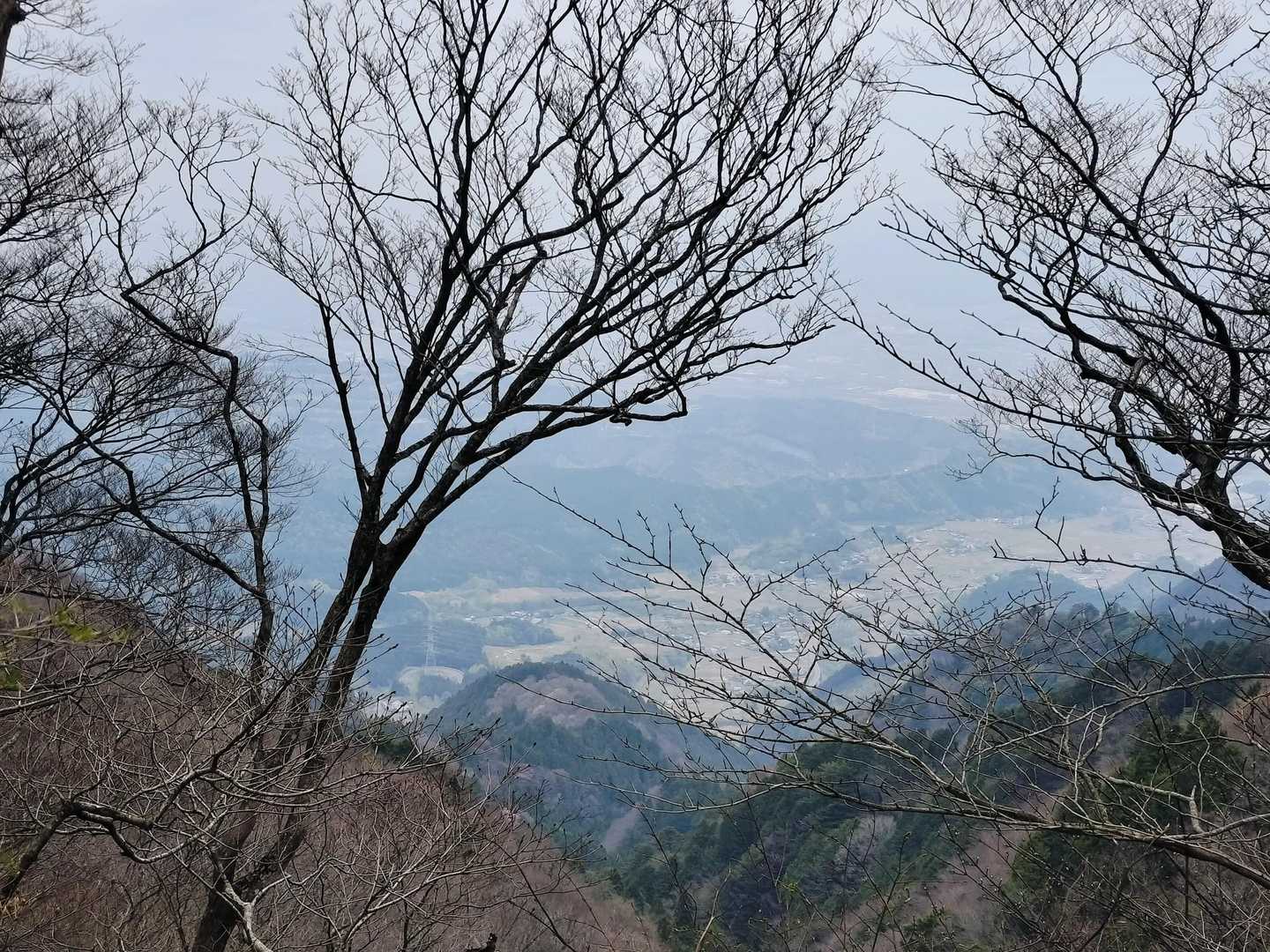 皿ヶ嶺 周回コースの写真