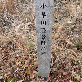 裏には有名武将の名が・・