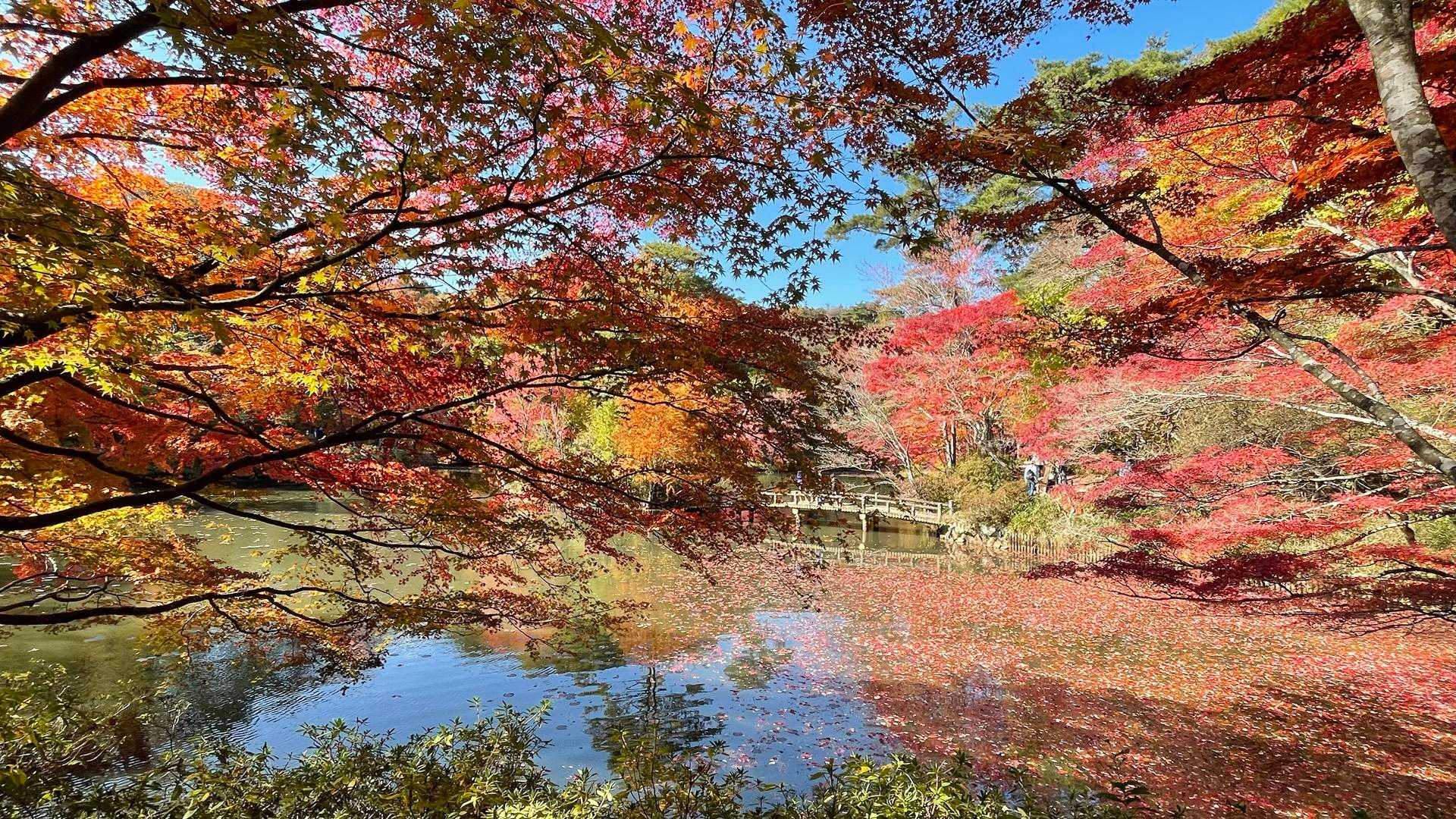 新神戸駅-滝山城跡登山口-西門-正門 縦走コースの写真