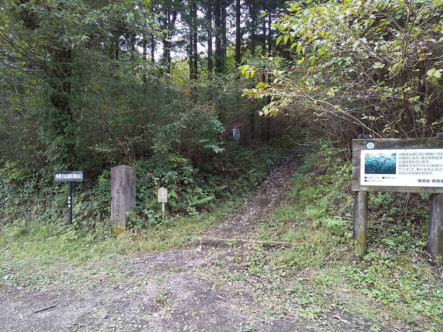 ここが登山口