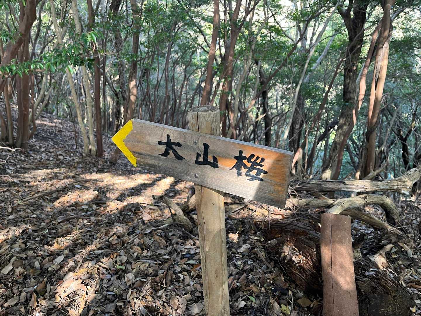 今日はこちらへ