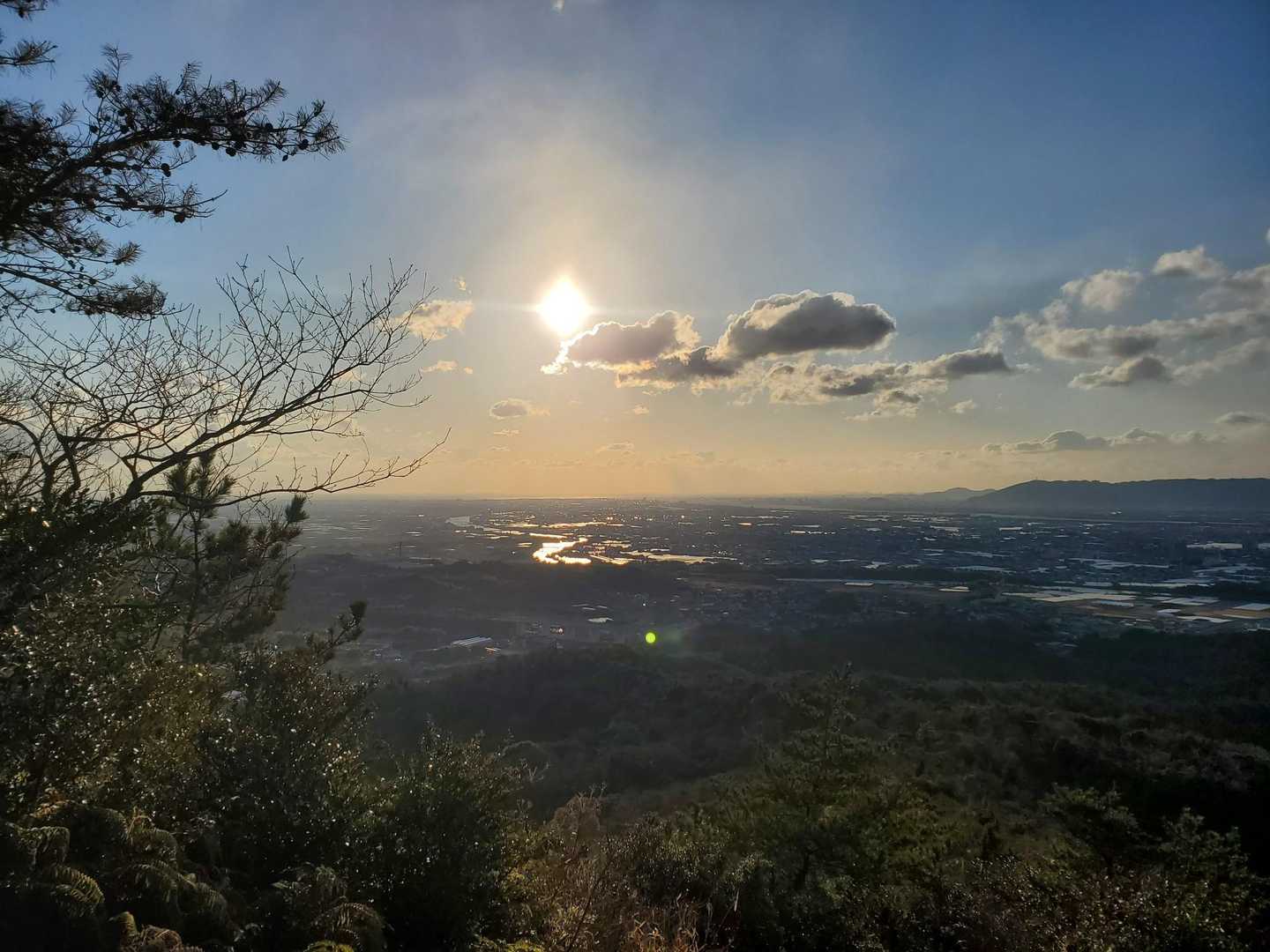 高尾山 往復コースの写真