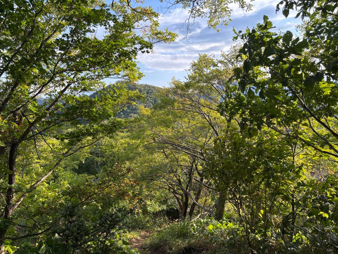 気を持ち直し、大倉山へ⛰️
