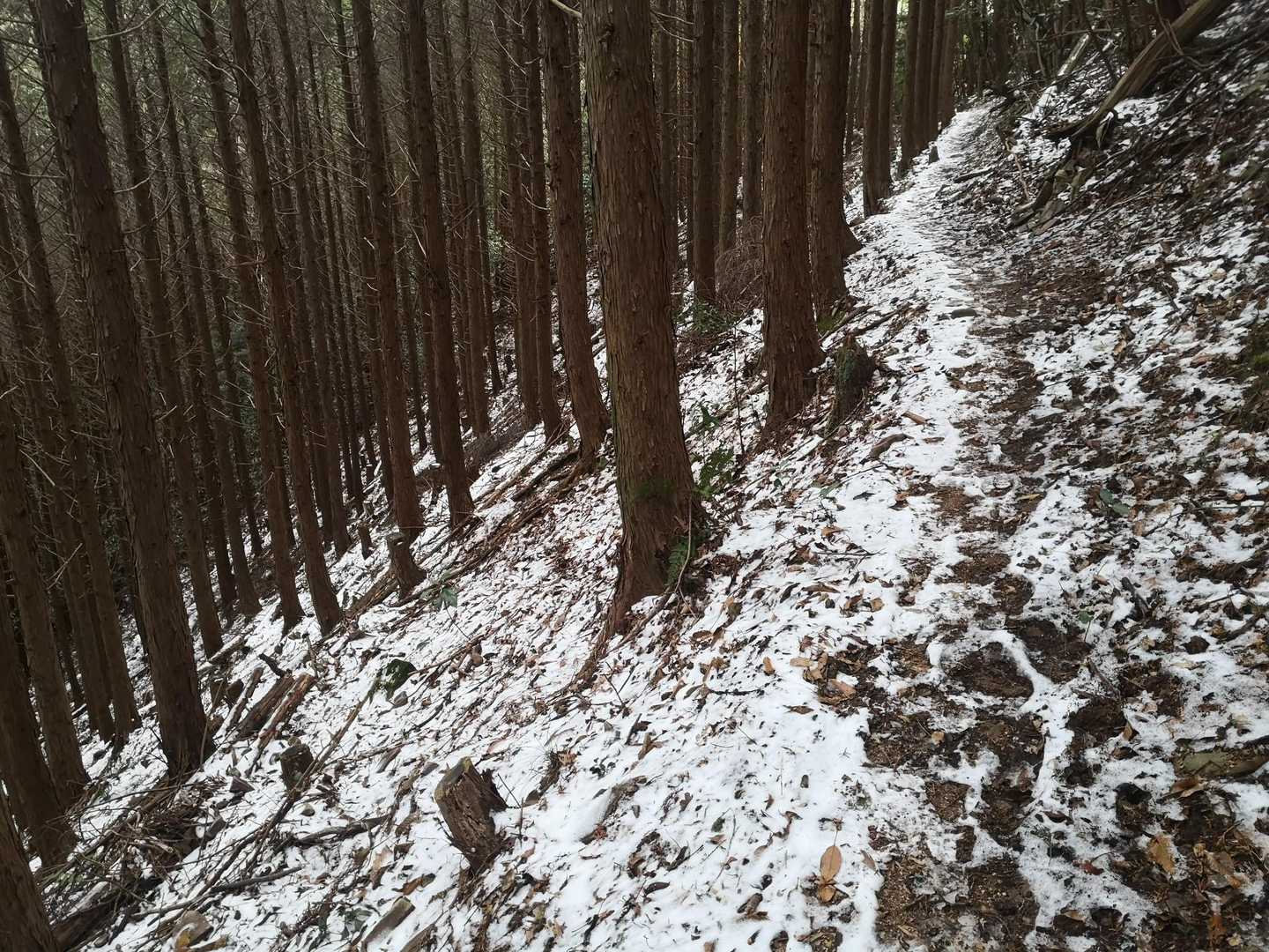 陽が当たらない所は雪が残っています