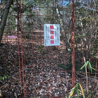 ゲートあった。