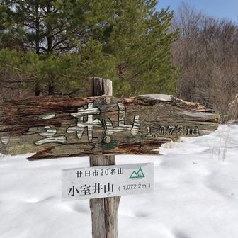 小室井山到着です。