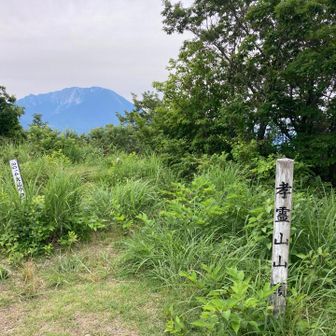孝霊山山頂。