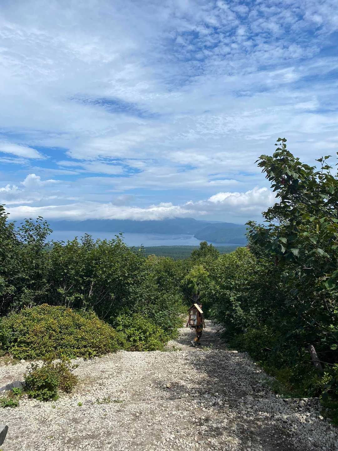 晴れてくると下山してからお花畑コースからまた登ろうか……って思ったりするけど結局山頂は白かった