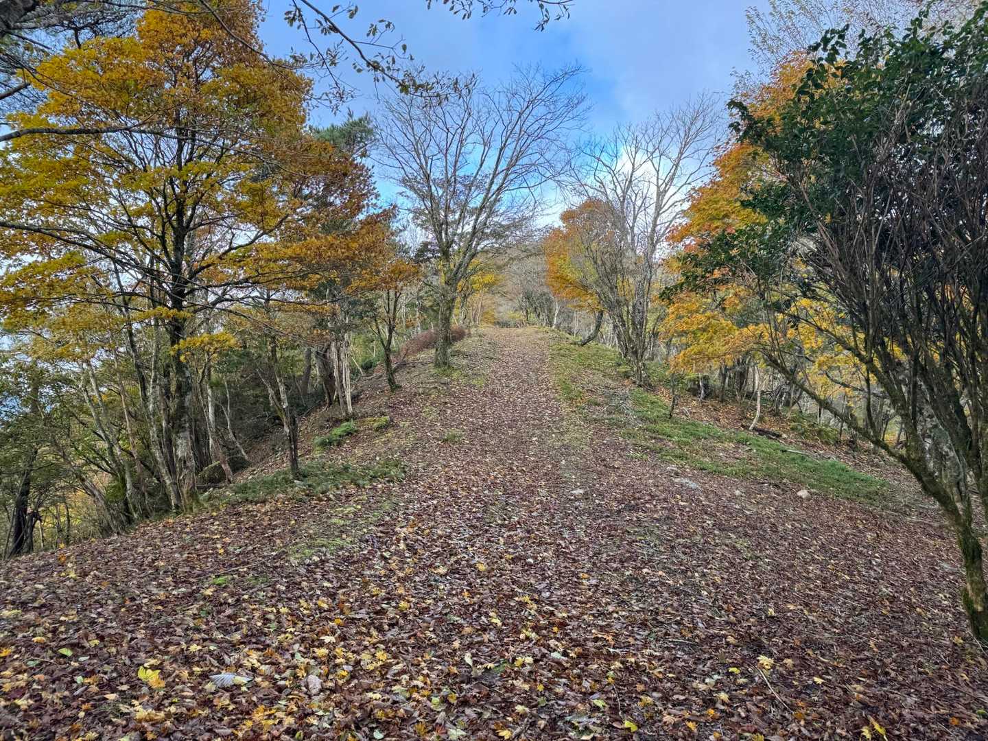 なんとなく持って来てて大正解だった🙆‍♀️