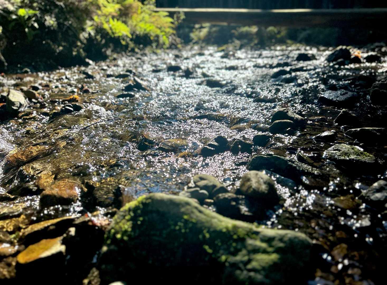 めっちゃ冷たい💧が気持ちいい👍