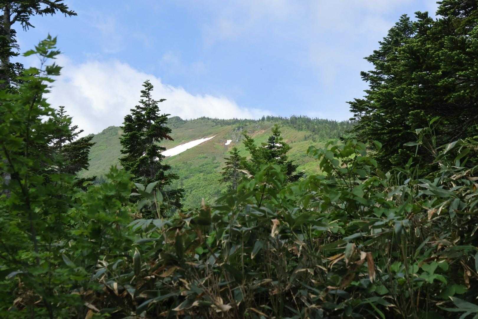山頂
あれ木の陰だったかな😨