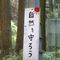 低山登山　hideki
