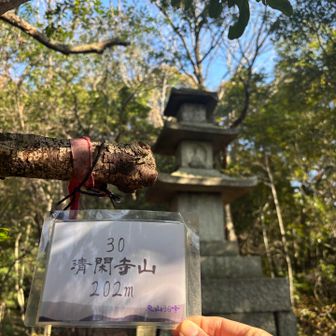 清閑寺山山頂　これ見つけるの大変でした😵
