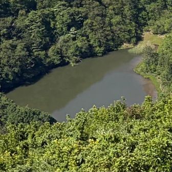 室ノ内池が見えます💚