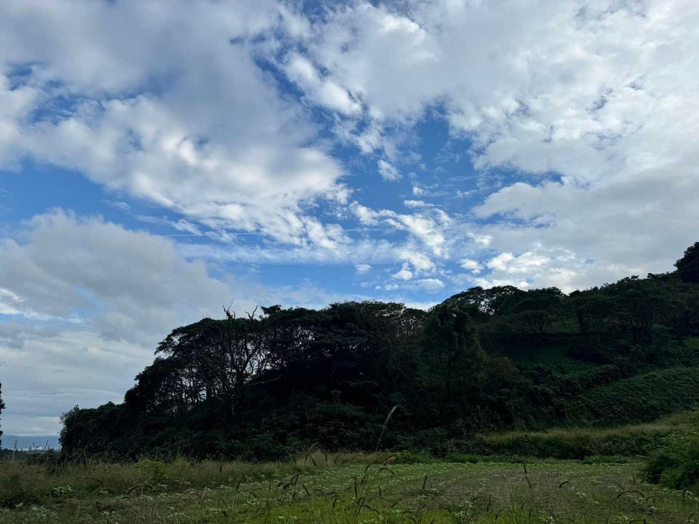 鷹取山 往復コースの写真
