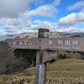 鉢伏山から一度はきてみたいかも…
扉峠からの周回がいいかな