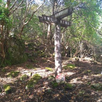岳麓寺登山口と黒岳、有氏道路、大船山頂上の分岐点です🚶
