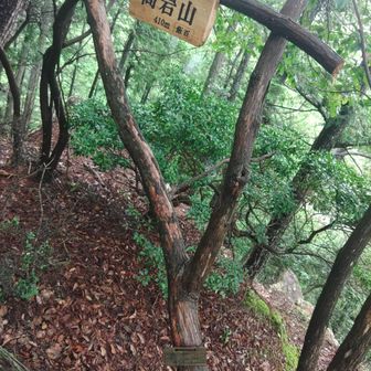 展望ないわ。