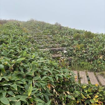 前仙ノ倉山まだぁ〜