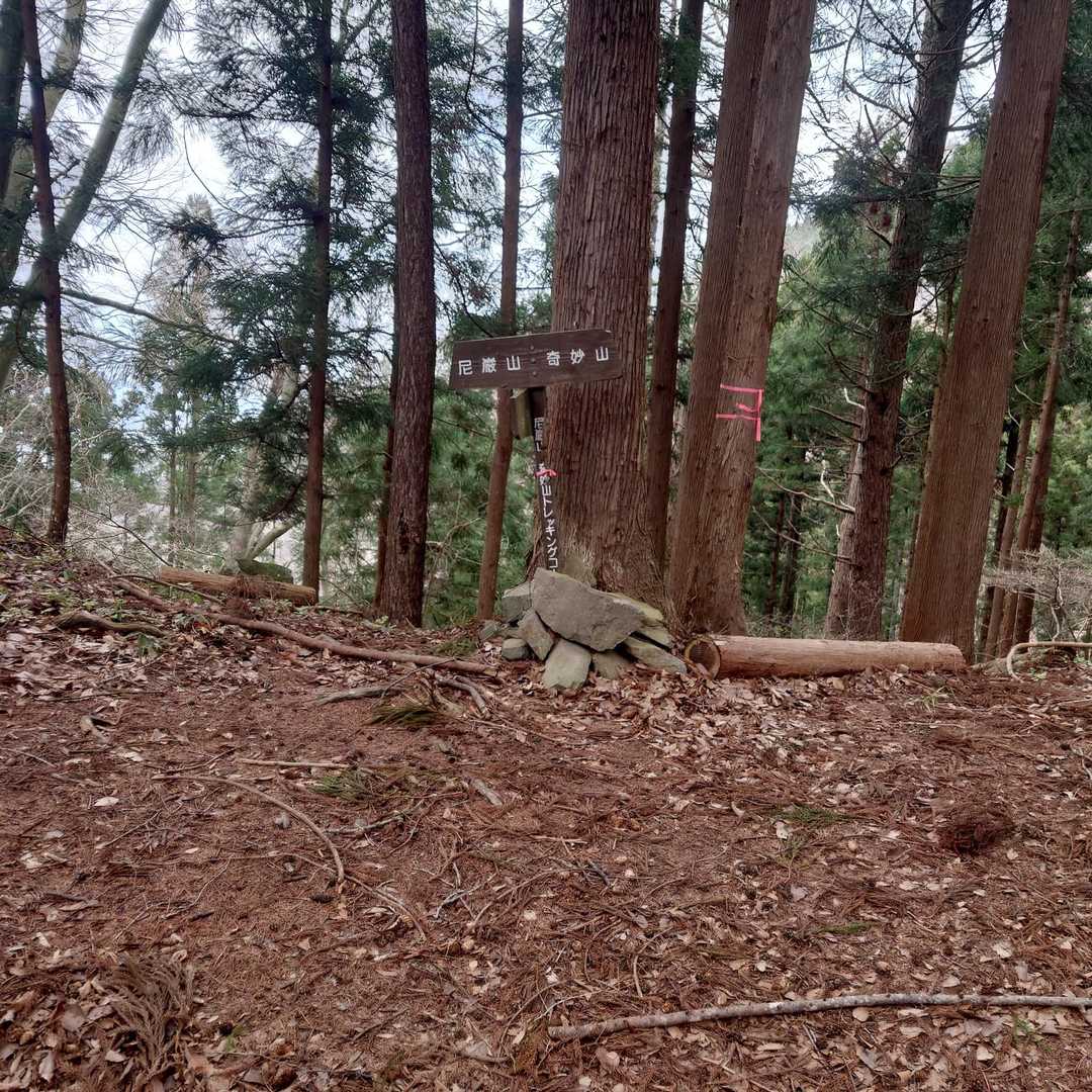 他のトレッキングコースとの合流地点♐
左方向の尼厳山（あまかざりやま）は別ルートで昨年11月に登りましたね