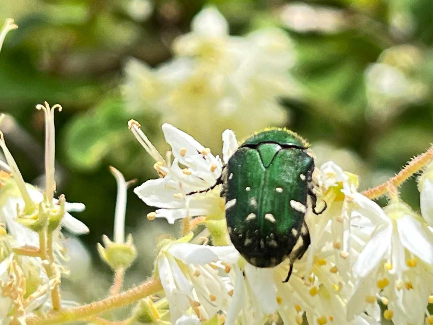 こんちは👋
