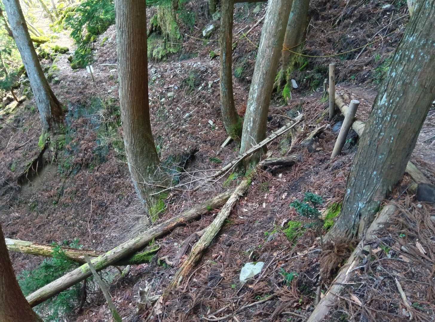 崩落してます。