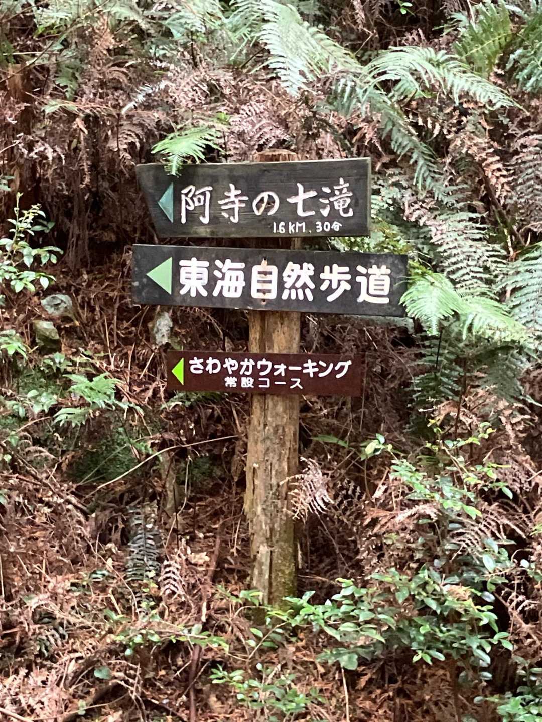 東海自然歩道の案内に沿って進みました。