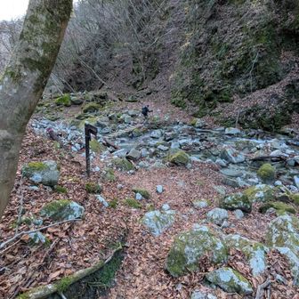 だんだん川幅が広くなってくる…もう少しでゴールです