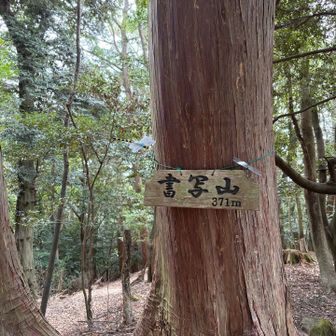 来たね🤎