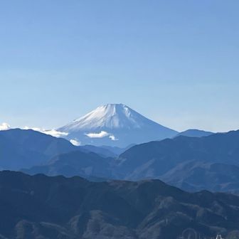 のんびりねこちゃん