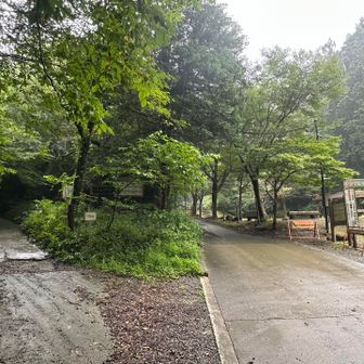 Yの分岐は左へ
