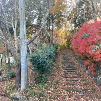 麓に下山しました✌️。