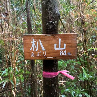朳山山頂到着❗️
楽しくて、少し通り過ぎてました💦