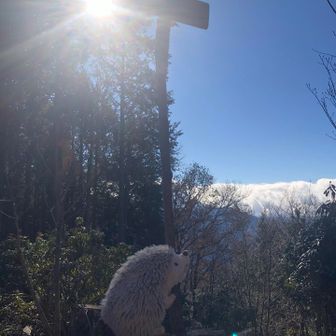 強い太陽。背中が痛い