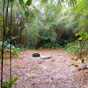 山頂到着。
眺望はありません。

こちらは一等三角点（標高498m）がありますが、1989年の測量で503m地点がほんとの最高地点と確認されたのだとか。
