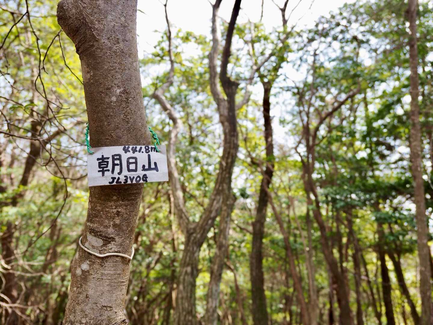 朝日山
眺望はありません